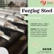 FORGING STEEL (FLAT BARS, RROUND BARS, STEEL PLATES, SQUARE BARS, FORGING R