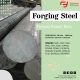 FORGING STEEL (FLAT BARS, RROUND BARS, STEEL PLATES, SQUARE BARS, FORGING R