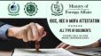 Computer Classes with Valid Certification and Experienced based Diplomas