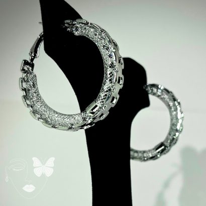 Moonlit Hoops….!!