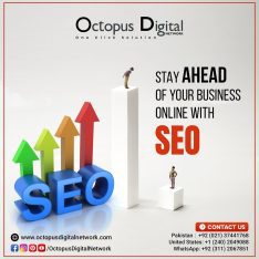No.1 SEO Service Provider Company in Karachi | Octopus Digital Network