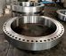 Steel raw material Flanges
