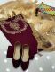 04 Pcs Suit Kataan mirror work shirt Along net mirror work dup