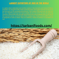 Largest Exporters of Rice in the World in 2024