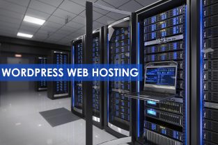 Web Hosting in Pakistan