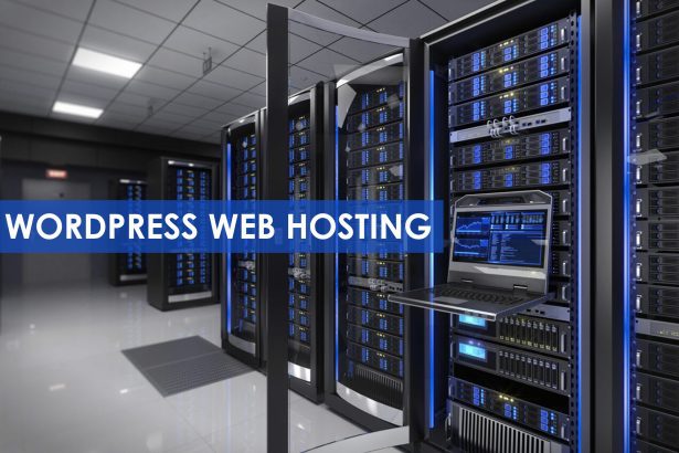 Web Hosting in Pakistan