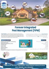 Water Proofing Soultion,Heat Proofing, Termite,PestControl /fumigation