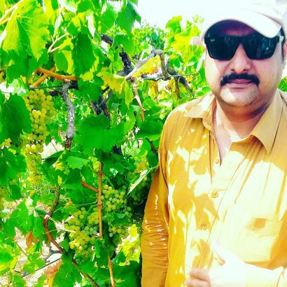Grapes plants in Pakistan