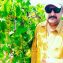 Grapes plants in Pakistan