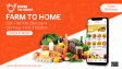 Farm to Home | Fresh Fruits and Vegetables for sale in Islamabad