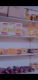 Super mart general store for sale