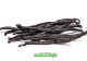 Fresh Extract Grade A Madagascar Bourbon Vanilla Beans stock available