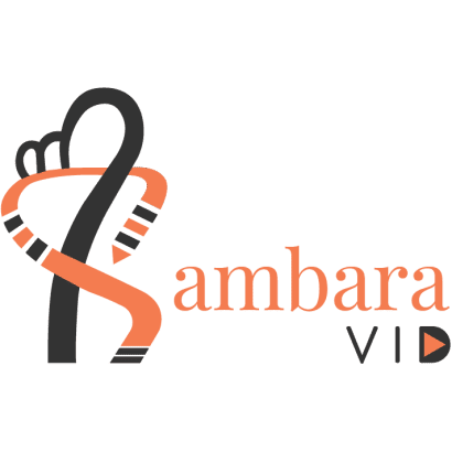SambraVid – video editing and 2d animation services.
