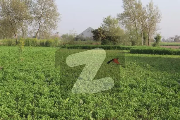 Ideal 25 Acre Fully Agriculture Land For Sale