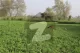 Ideal 25 Acre Fully Agriculture Land For Sale