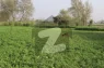 Ideal 25 Acre Fully Agriculture Land For Sale