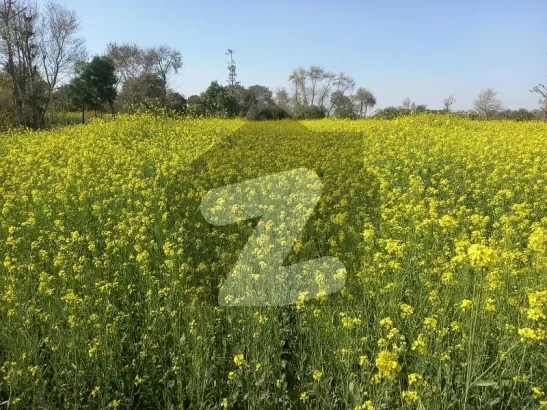 Ideal 25 Acre Fully Agriculture Land For Sale