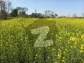 Ideal 25 Acre Fully Agriculture Land For Sale