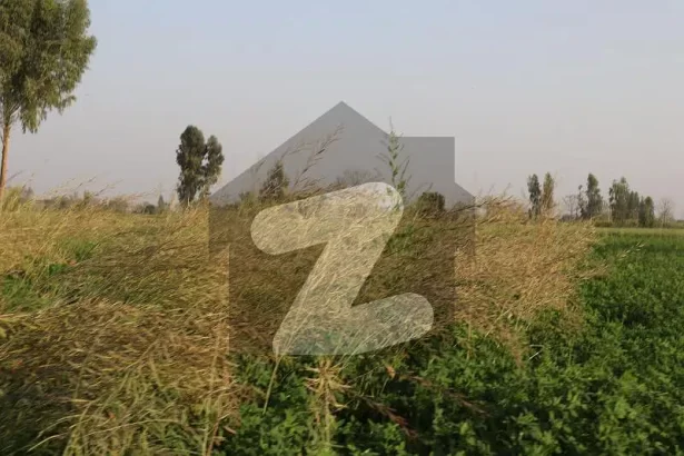 200 Kanal Agricultural Land Available For Sale In Jaranwala