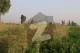 200 Kanal Agricultural Land Available For Sale In Jaranwala