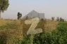 Ideal 25 Acre Fully Agriculture Land For Sale