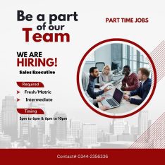 Sales Executive