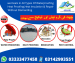 Roof Waterproofing Heat Proofing Water Tank Waterproofing.