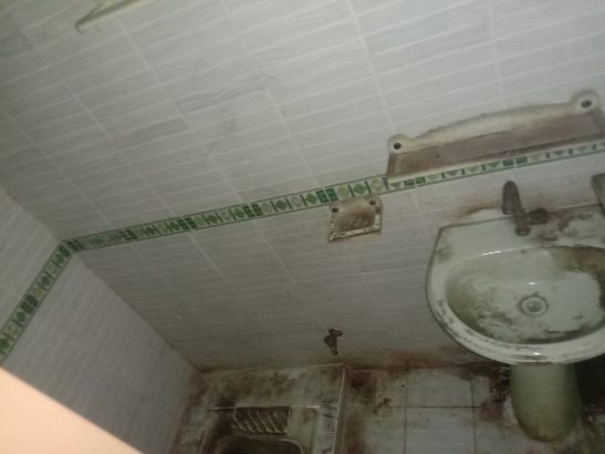 Separate home for rent