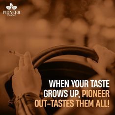 When Your Taste Grows Up , Pioneer Out-Tastes Them All