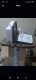 NOVADEX N9 DIGITAL BATTERY OPRATED ULTRASOUND MACHINE