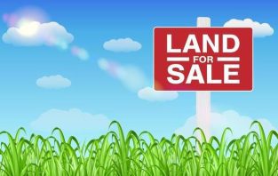 3 Acres of agriculture land for Sale in Kotsamba Rahim yar K