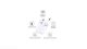 M12 Wireless Earbuds