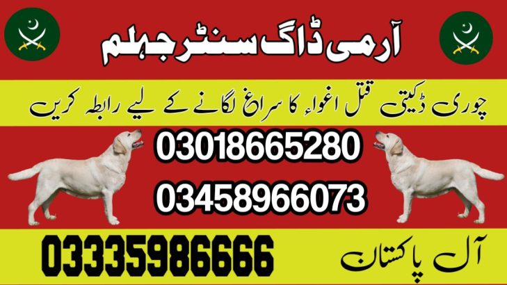 Army dog center jhelum