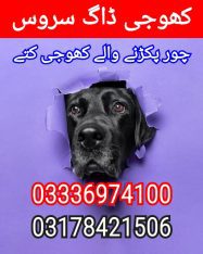 Army dog center chakwal