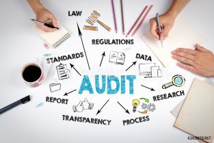 ACCA Accountant for financial reports