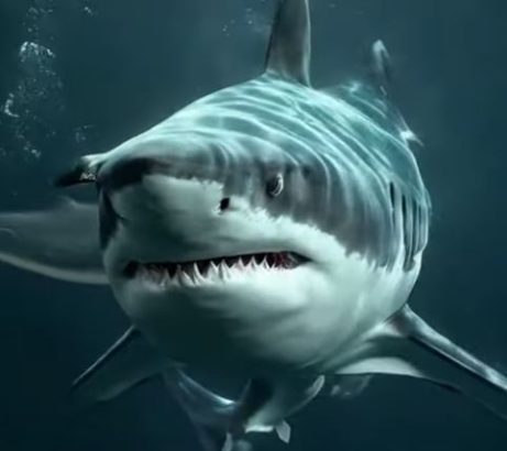 Jaws in the Deep Ocean Terror MUST WATCH