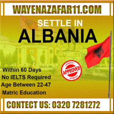 Wayena Zafar Consultants