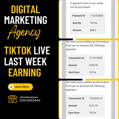 tik tok live earning