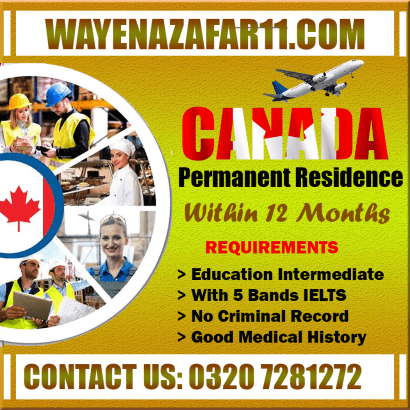 Wayena Zafar Consultants