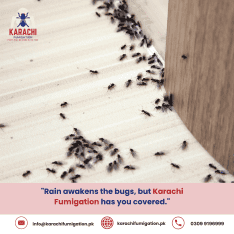Karachi Fumigation services