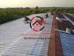 Roof Waterproofing Services Roof Heatproofing Services