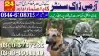 Army dog center Taxila