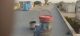 Waterproofing Services By Royal Chemical Service