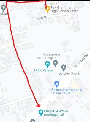 HIRING. Lady Teachers