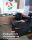 Vinyl Flooring interior designs available