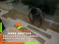 wooden floor in lahore prices
