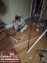 PVC Vinyl Flooring Sheets And Wooden Flooring with Fitting