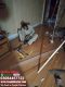 PVC Vinyl Flooring Sheets And Wooden Flooring with Fitting