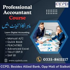 PROFESSIONAL ACCOUNTANT