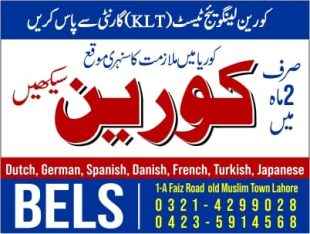 Korean Language Institute Fees in Lhr BelsCollege